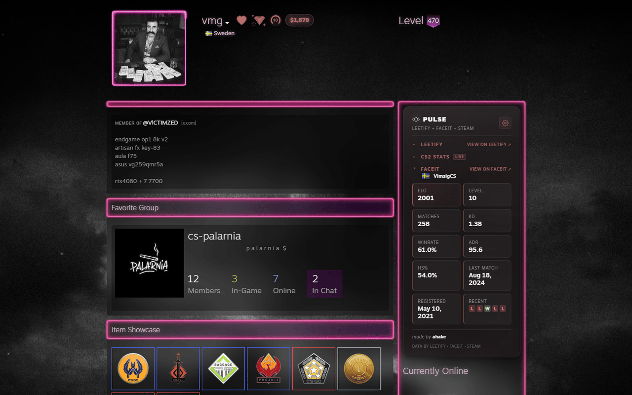 Faceit section: ELO, level, winrate and recent results, panel tinted to the profile